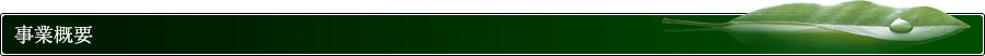 事業概要