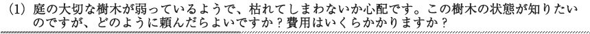 庭の大切な樹木が弱っているようで、枯れてしまわないか心配です。この樹木の状態が知りたいのですが、どのように頼んだらよいですか？費用はいくらかかりますか？