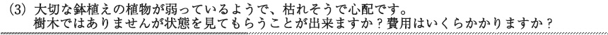 大切な鉢植えの植物が弱っているようで、枯れそうで心配です。樹木ではありませんが状態を見てもらうことが出来ますか？　費用はいくらかかりますか？